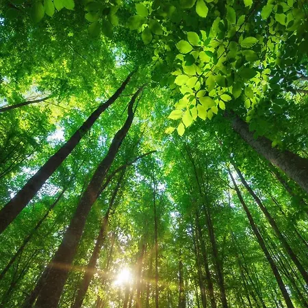 Quartier 5 & Restaurant, Saechsische Schweiz Hotel 4*