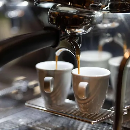 Logis Quartier 5, Sächsische Schweiz, Mit Restaurant, Café&bar Hotel