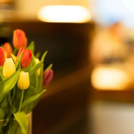 Logis Quartier 5, Saechsische Schweiz, Mit Restaurant, Cafe & Bar 4* Kurort Gohrisch