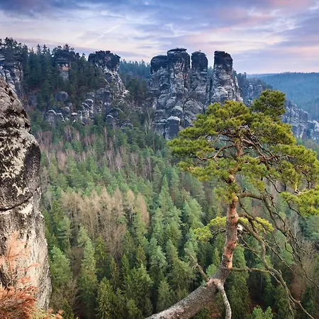 Quartier 5 & Restaurant, Saechsische Schweiz Hotel 4*