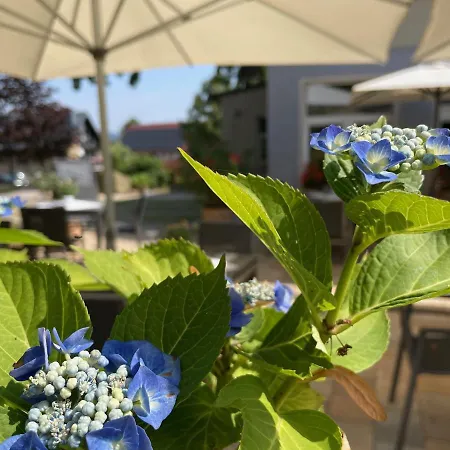 Logis Quartier 5, Sächsische Schweiz, Mit Restaurant, Café&bar Kurort Gohrisch
