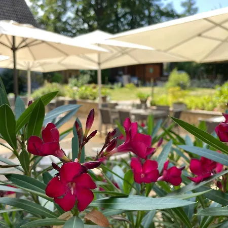 Hotel Logis Quartier 5, Saechsische Schweiz, Mit Restaurant, Cafe & Bar Kurort Gohrisch