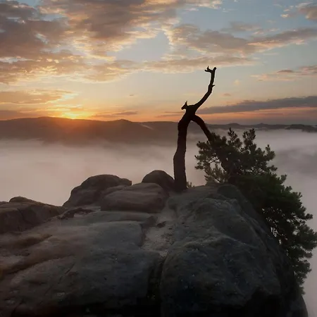 Quartier 5 & Restaurant, Saechsische Schweiz