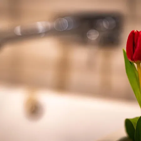 Hotel Logis Quartier 5, Saechsische Schweiz, Mit Restaurant, Cafe & Bar