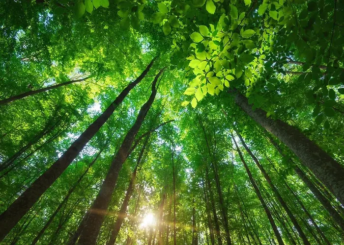 Quartier 5 & Restaurant, Saechsische Schweiz ホテル 4*