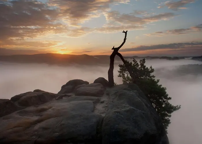 Quartier 5 & Restaurant, Saechsische Schweiz